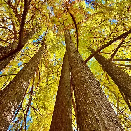 La Casa Dell'abate Di - Spello