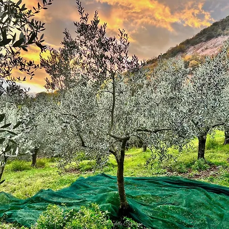 La Casa Dell'abate Di - Spello Holiday home