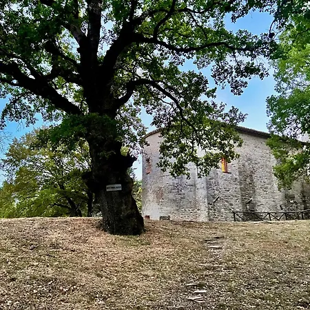 La Casa Dell'abate Di - Spello Сasa de vacaciones
