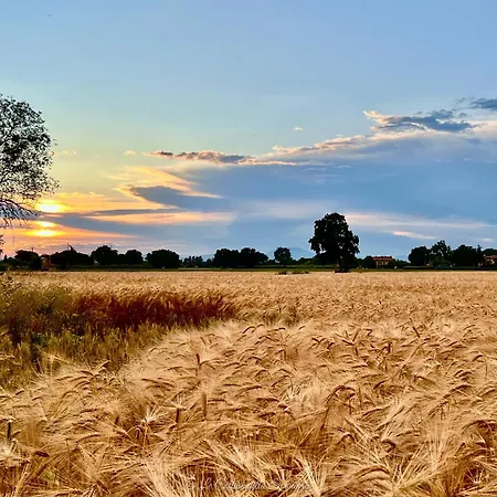 La Casa Dell'abate Di - Spello Сasa de vacaciones Collepino