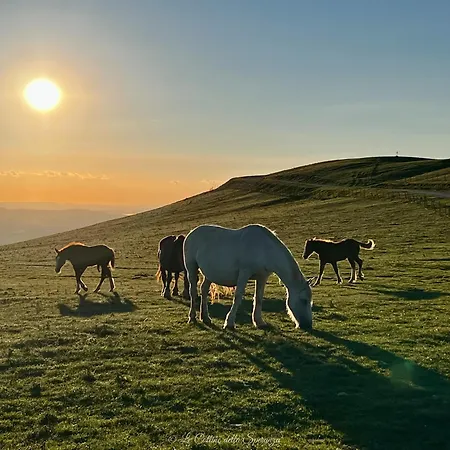 La Casa Dell'abate Di - Spello Collepino
