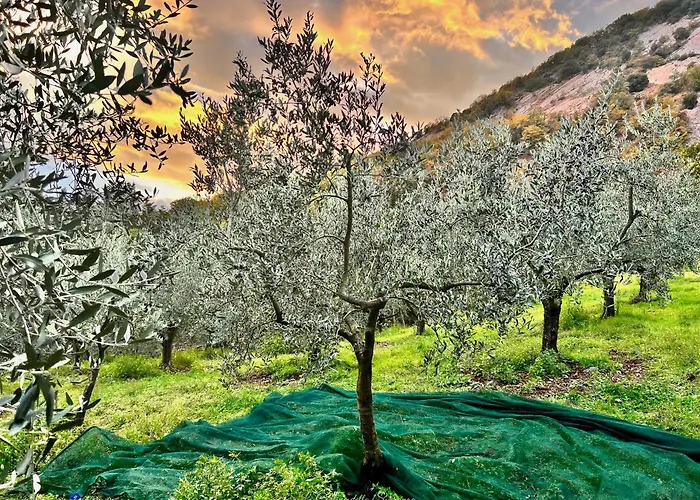 La Casa Dell'abate Di - Spello Сasa de vacaciones