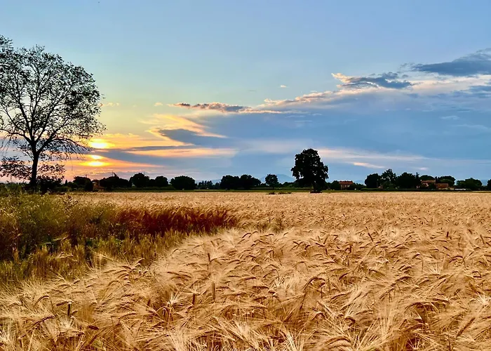 La Casa Dell'abate Di - Spello Сasa de vacaciones Collepino