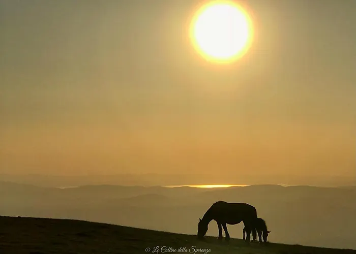 Сasa de vacaciones La Casa Dell'abate Di - Spello *